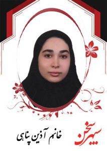آذین-پناهی